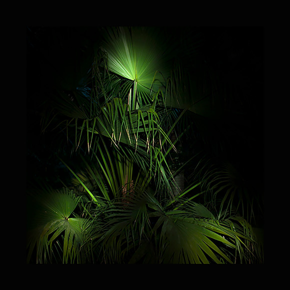 Aa