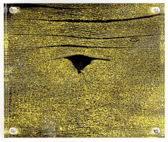 Transitory moments yellow contact 01