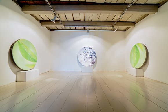 Installation view : smoothies and bright skies 2016