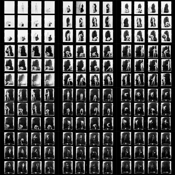 Monochromes 1
