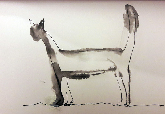 Katt 4