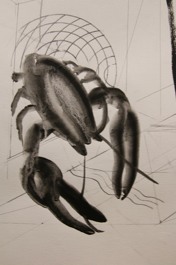 Snakesdetail4