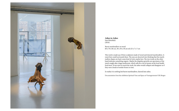 Untitled 13