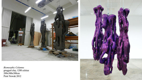 Piotrnowak biomorphiccolumns
