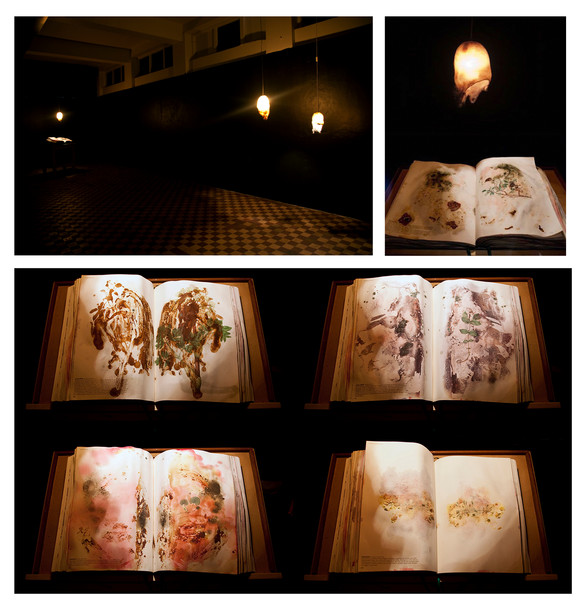 Book