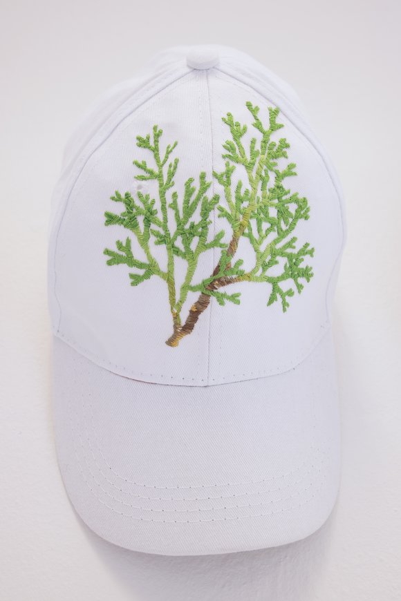 Juniperus sabina