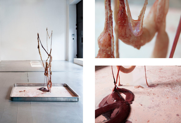 1 andrea wikhammer heir the vessel stay