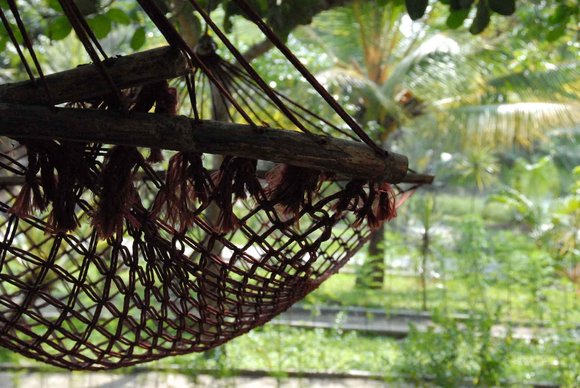 Kerala india 2016 (127)
