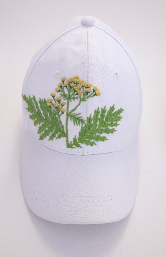 Tanacetum vulgare