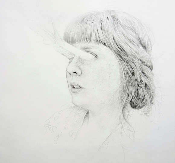 Iris gråblyant