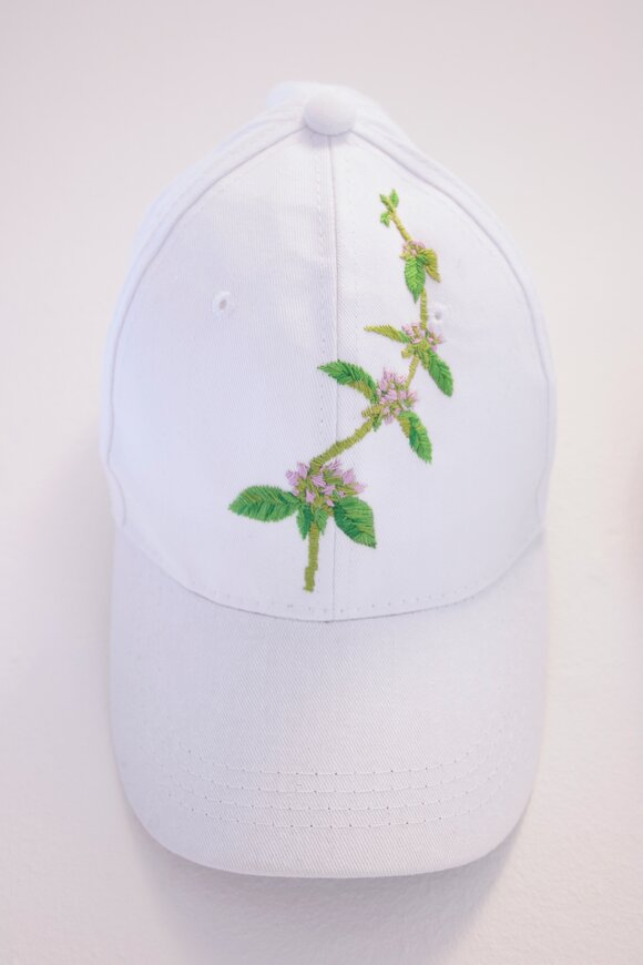Mentha pulegium