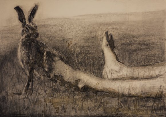 Hunting season 2015 50x70cm charcoal and coffe on paper