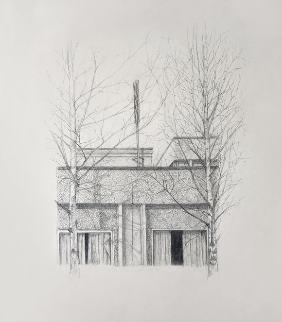 Tyfon norddal