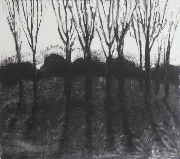 Trestammer i motlys monotypi 40x40cm gro hege bergan 2014