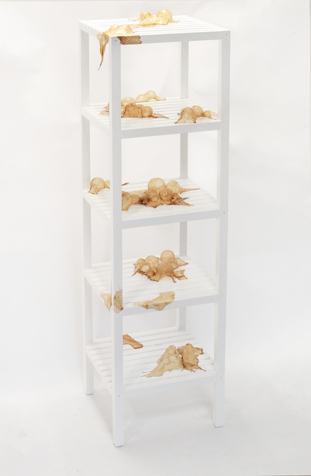 The Truth of Breathing III, tanned chicken skin, shelf, glue
40*40*140cm
2024
