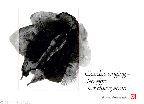 Haiku cma