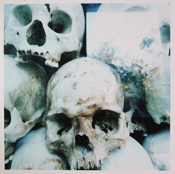 killing fields #1 detalj