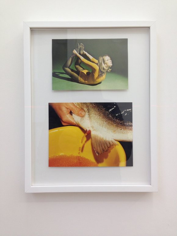 Eline mugaas collage album forced 2015