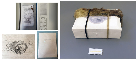 5portfoliopontelia