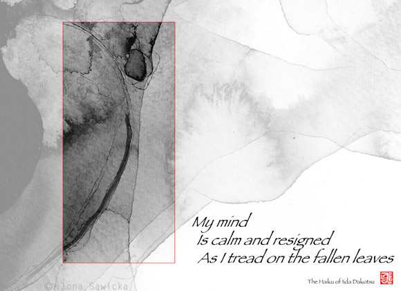 Haiku liscie