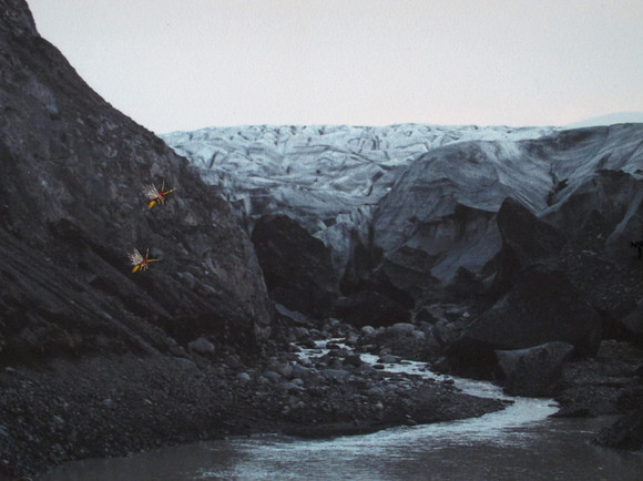 Detalj a new beginning – wisdom of the north