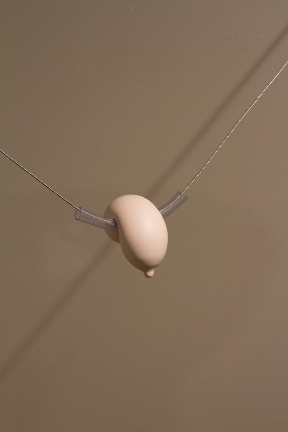 Img 0546