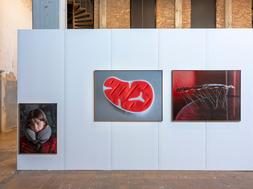 Oversiktsbilde av tre fotografier innrammet i et stort gallerirom. To stilleben og et portrett.