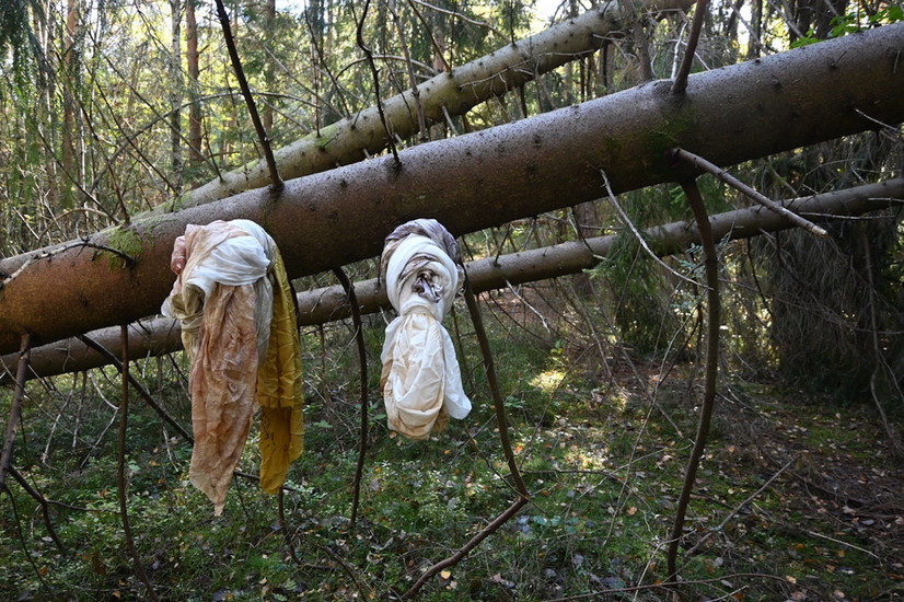 skog, trær og silke