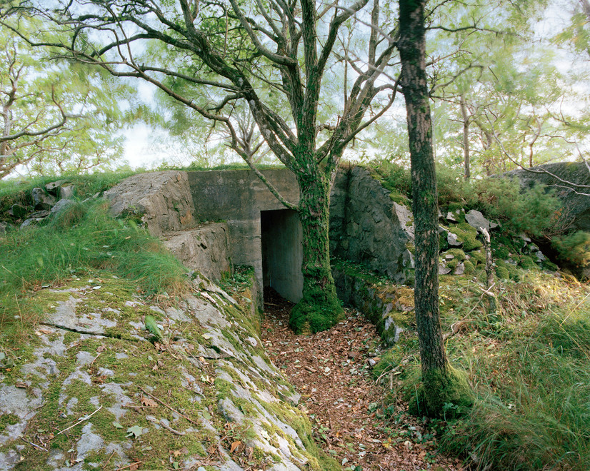 forlatt gjengrodd Bunker med et tre foran døråpning, man kan tydelig se tiden har gått, Mandal Norge, en del av Atlanterhavsvollen,