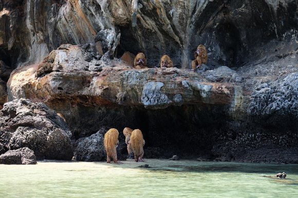 Naam yai photo thailand biennale photographers
