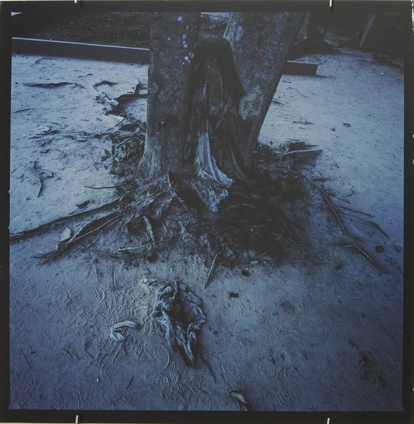 Killing fields #4