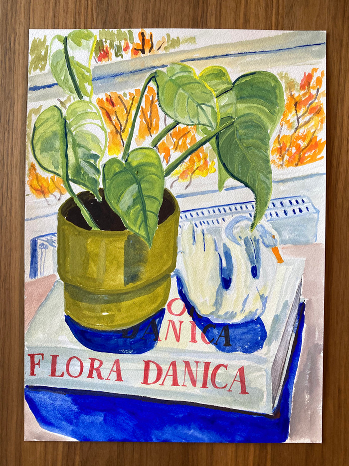 Stilleben flora danica 26x36  kopi