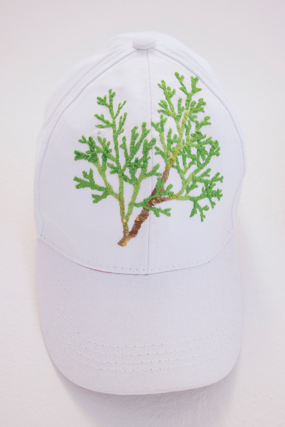 Juniperus sabina 2017
