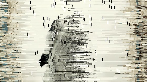 Bitersomfaller(tonemyskja)detalj4