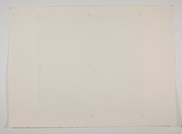 mg 7388