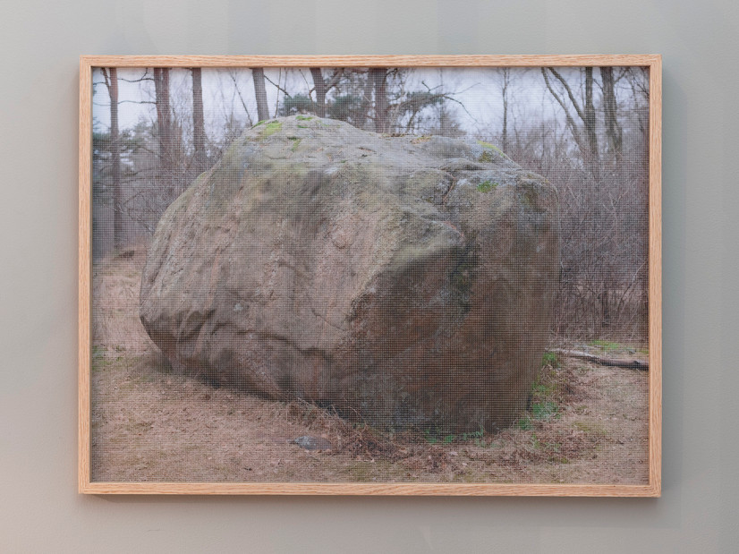 Et fotografi av en stor sten i skogen, printet på PVC Mesh og montert på kapa. Rammet inn med eikeramme.