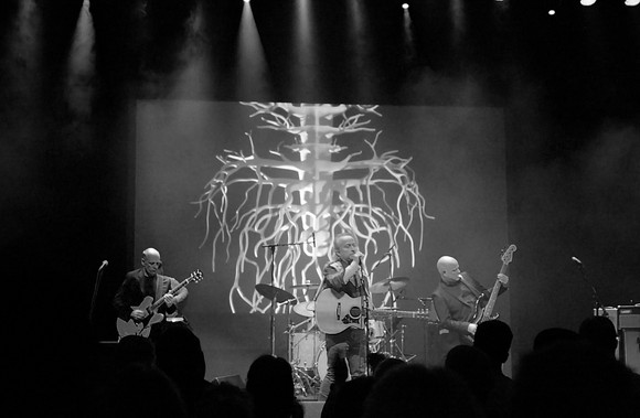 07 spine snaxville