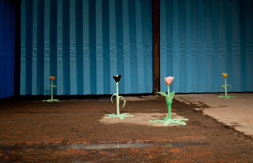 Fire skulpturer av isomalt formet som tulipaner, med gul, rosa, sort og oransje blomst, og grønne stilker og blad. I bakgrunnen henger medisinske engangsgardiner i en lysere og mørker blåfarge. Gallerirommet har et rødt mursteinsgulv som er halvveis dekket av gjørme og en liten vannpytt.