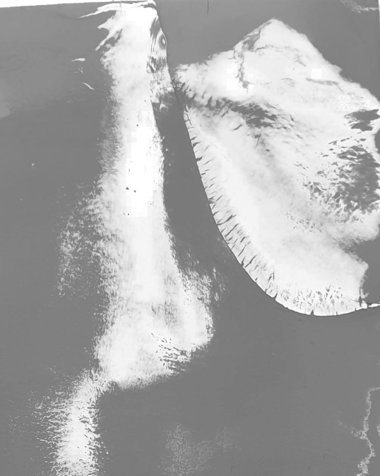 Skisse fjell