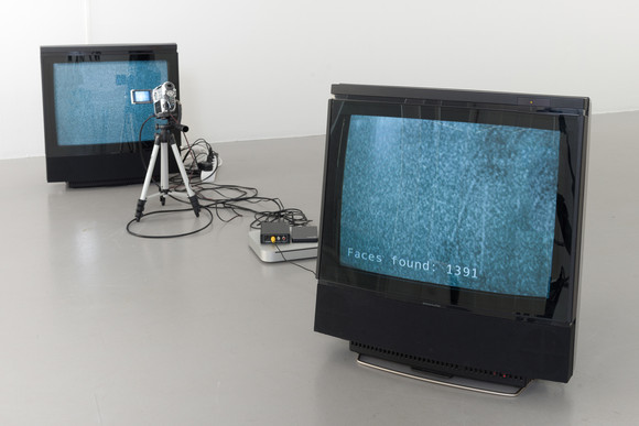 Forest of fallen trees, 2014, video sculpture, 200 x 100 x 200 cm