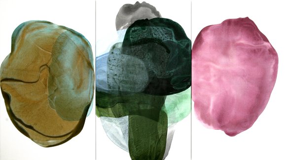 Helle kaarem triptyk 100x180 19