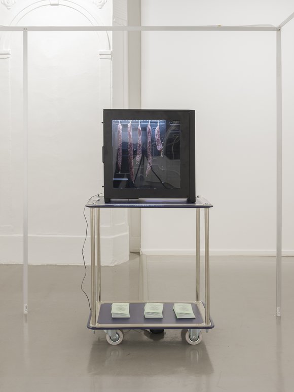 Thegutisasecondbrain 09