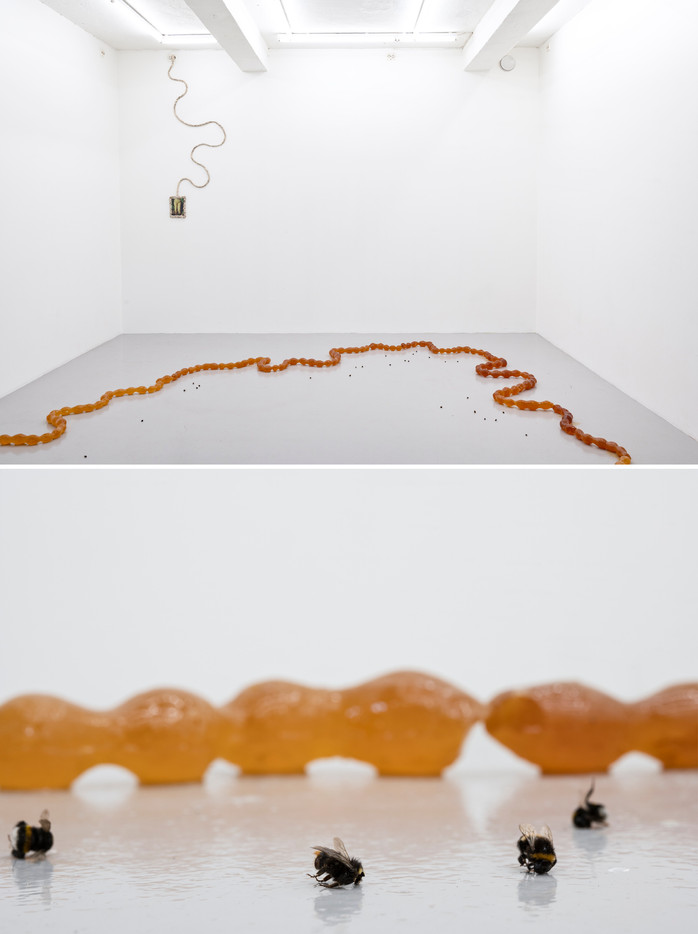 Installation in a gallery space with white walls and a gray floor. A small screen is hanging on the wall, with a cord with a wavy shape that extends all the way to the ceiling. A long, amber-coloured wavy sculpture is laying on the floor. Dead bumblebees lie scattered around within the wavy sculpture. 
