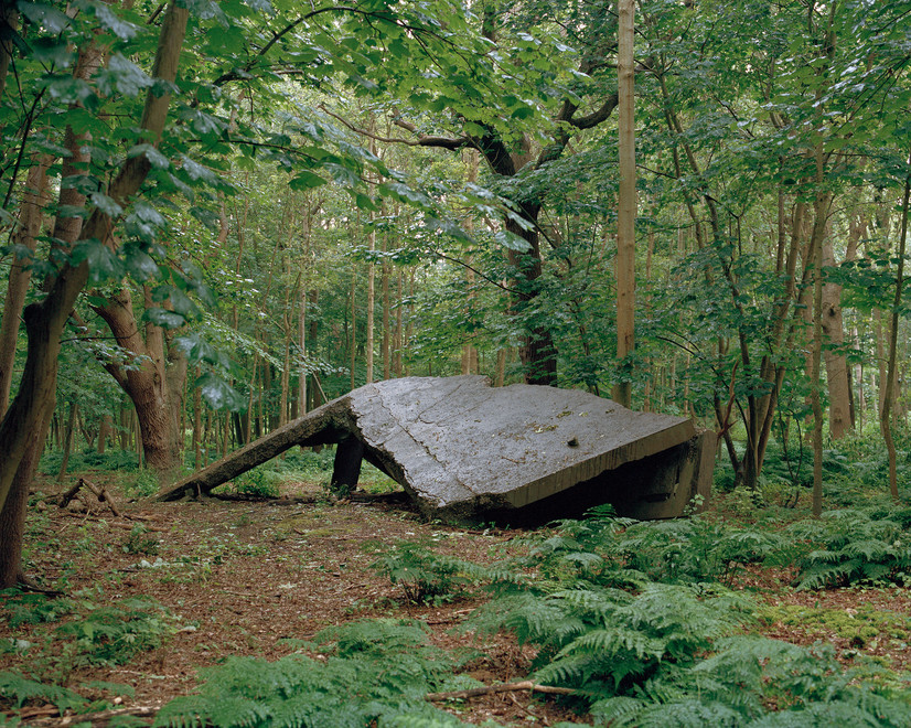 Forlatt Bunker struktur i tett skog Groeneweg Belgia, en del av Atlanterhavsvollen.