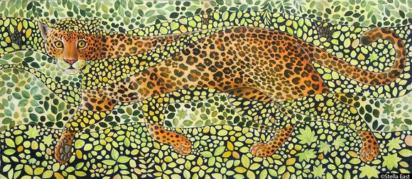 Leopardoo