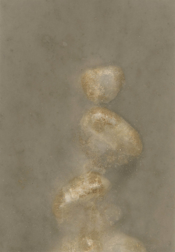 Stigmarlonweston centcims42