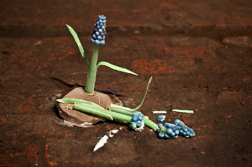 A sculpture made of isomalt, shaped like muscari flowers with blue flowers and green stems and leaves. The sculpture lies half-broken on a brick floor covered with soil.