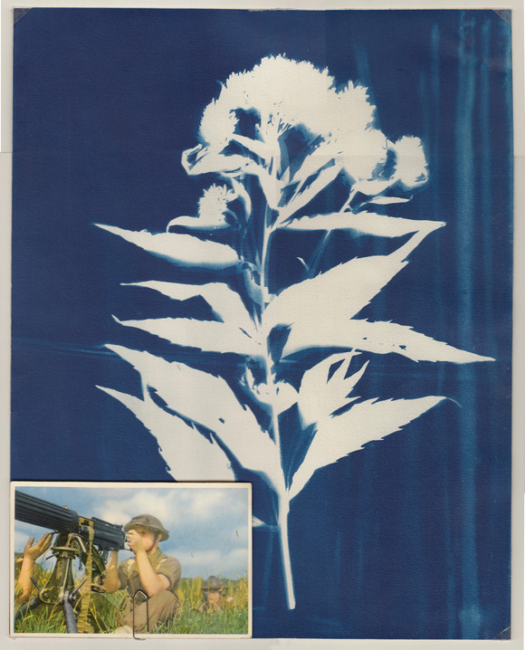 Blueprint