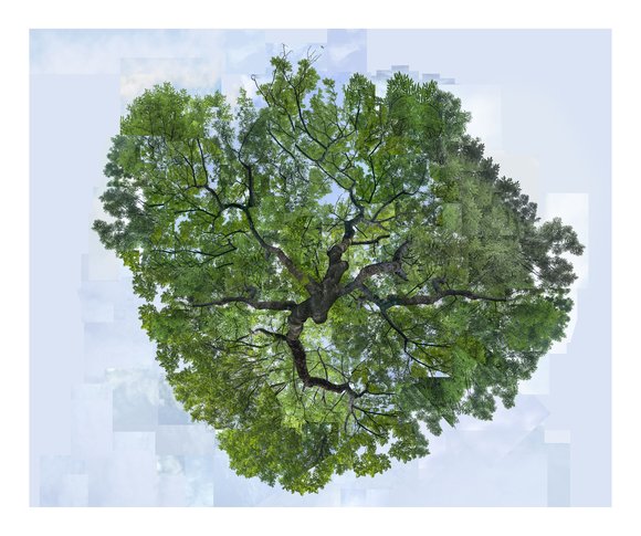 Espen tollefsen yggdrasil