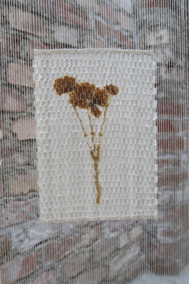 Detalje-bilde av verket Herbarium. Her vises nærbilde av hvit silke med et plantetrykk som er klippet opp i strimler og vevd i firkanter i A5 format. Silken har et trykket med Coreopsis, en plante med klare gule blomster.